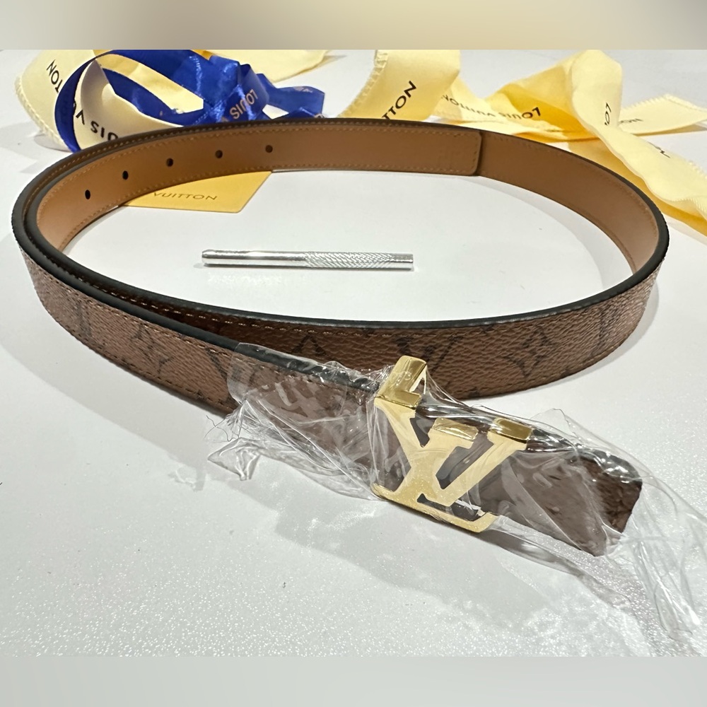 Louis Vuitton Brown and Gold Belt